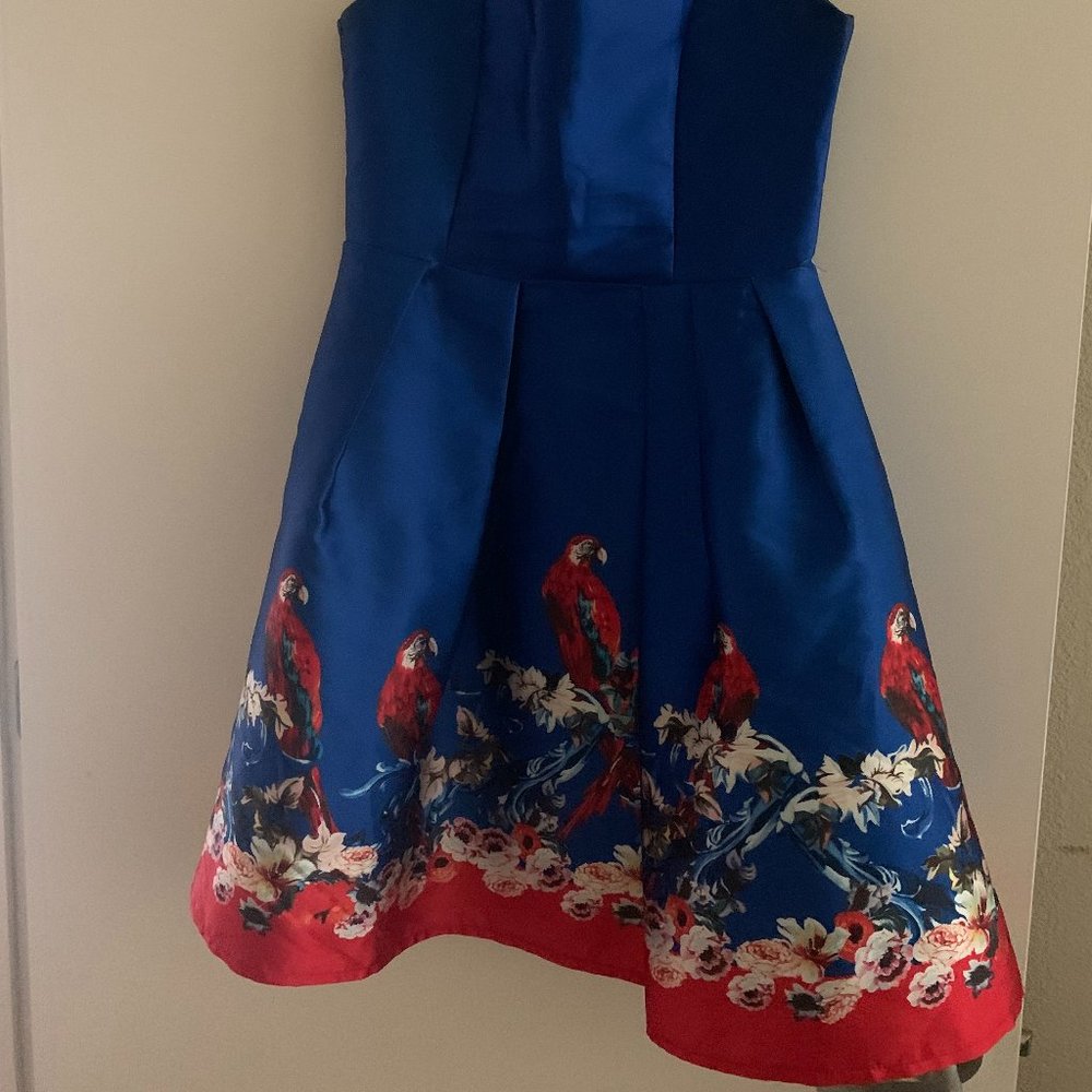Parrot Formal Satin Dress